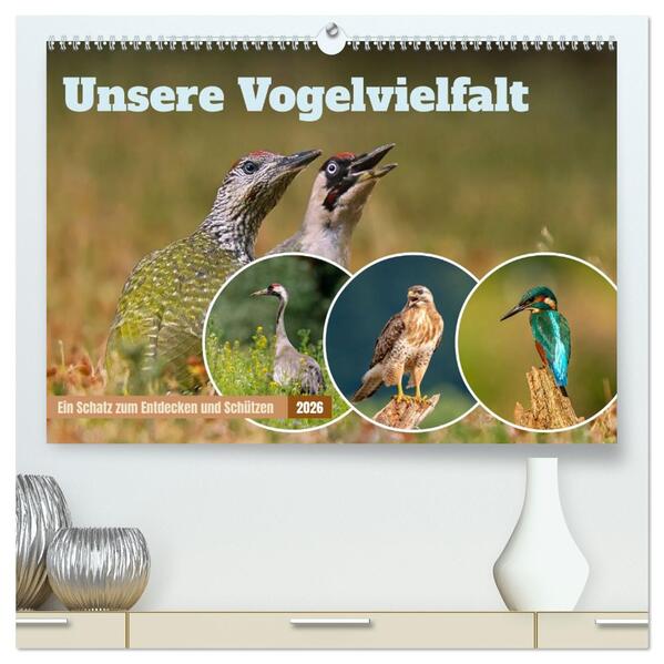 Unsere Vogelvielfalt: Ein Schatz zum Entdecken und Schützen (hochwertiger Premium Wandkalender 2026 DIN A2 quer) Kunstdruck in Hochglanz