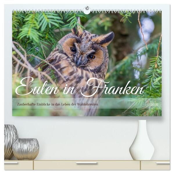 Eulen in Franken (hochwertiger Premium Wandkalender 2026 DIN A2 quer) Kunstdruck in Hochglanz
