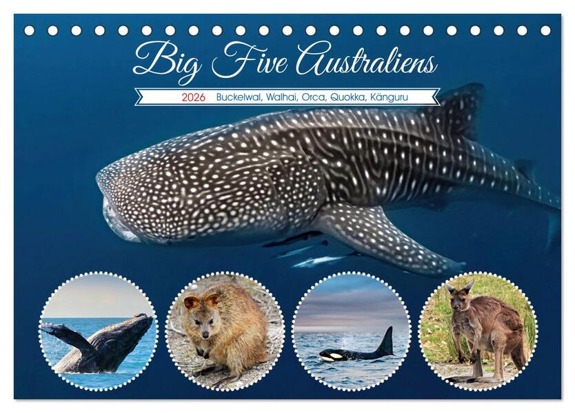 Big Five Australiens Buckelwal Walhai Orca QuokkaKänguru (Tischkalender 2026 DIN A5 quer) CALVENDO Monatskalender