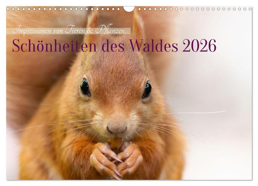 Schönheiten des Waldes (Wandkalender 2026 DIN A3 quer) CALVENDO Monatskalender