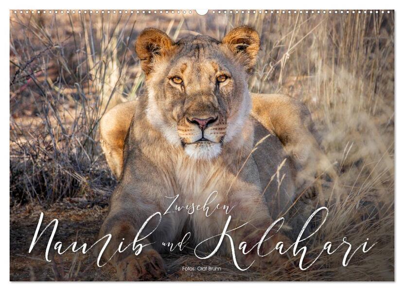 Zwischen Namib und Kalahari (Wandkalender 2026 DIN A2 quer) CALVENDO Monatskalender