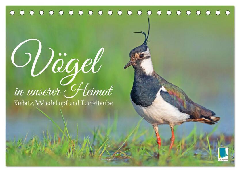 Vögel in unserer Heimat: Kiebitz Wiedehopf und Turteltaube (Tischkalender 2026 DIN A5 quer) CALVENDO Monatskalender