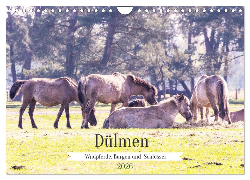 Dülmen - Wildpferde Burgen und Schlösser (Wandkalender 2026 DIN A4 quer) CALVENDO Monatskalender