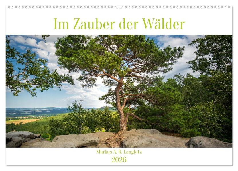 Im Zauber der Wälder (Wandkalender 2026 DIN A2 quer) CALVENDO Monatskalender