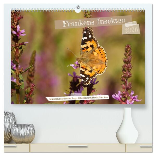 Frankens Insekten (hochwertiger Premium Wandkalender 2026 DIN A2 quer) Kunstdruck in Hochglanz