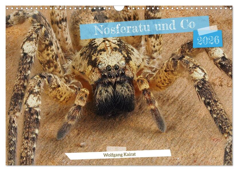 Nosferatu und Co. (Wandkalender 2026 DIN A3 quer) CALVENDO Monatskalender
