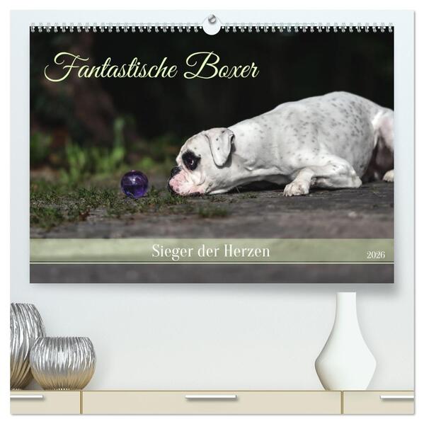 Fantastische Boxer - Sieger der Herzen (hochwertiger Premium Wandkalender 2026 DIN A2 quer) Kunstdruck in Hochglanz