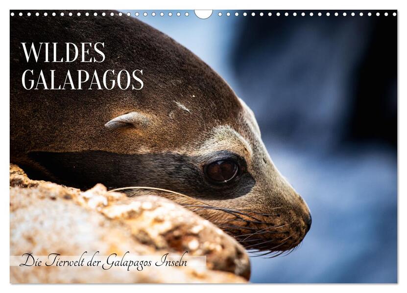 Wildes Galapagos - Die Tiere der Galapagos Inseln (Wandkalender 2026 DIN A3 quer) CALVENDO Monatskalender
