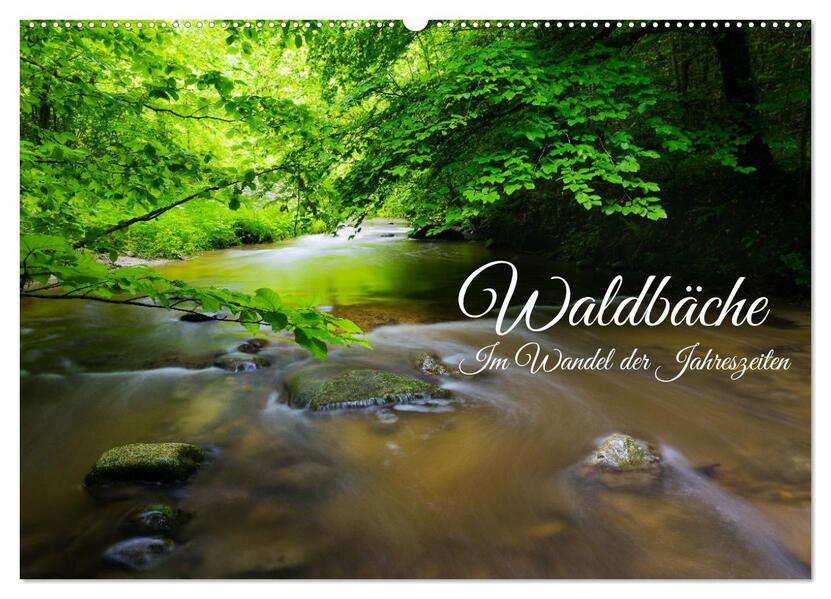 Waldbäche - Im Wandel der Jahreszeiten (Wandkalender 2026 DIN A2 quer) CALVENDO Monatskalender