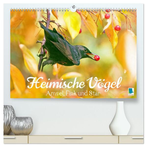 Amsel Fink und Star: Heimische Vögel (hochwertiger Premium Wandkalender 2026 DIN A2 quer) Kunstdruck in Hochglanz