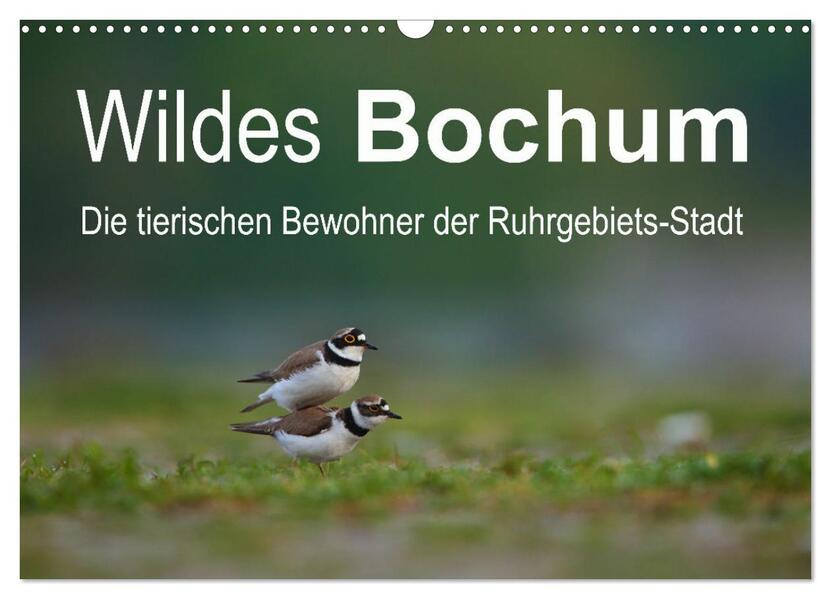 Wildes Bochum (Wandkalender 2026 DIN A3 quer) CALVENDO Monatskalender