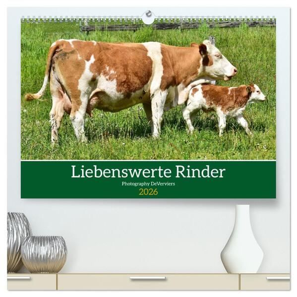 Liebenswerte Rinder (hochwertiger Premium Wandkalender 2026 DIN A2 quer) Kunstdruck in Hochglanz