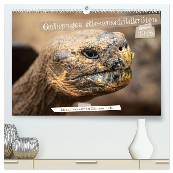 Die Riesenschildkröten der Galapagos Inseln (hochwertiger Premium Wandkalender 2026 DIN A2 quer) Kunstdruck in Hochglanz