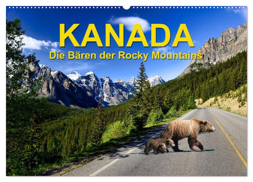 KANADA - Die Bären der Rocky Mountains (Wandkalender 2026 DIN A2 quer) CALVENDO Monatskalender
