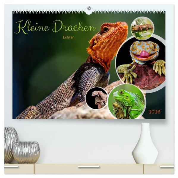 Kleine Drachen - Echsen (hochwertiger Premium Wandkalender 2026 DIN A2 quer) Kunstdruck in Hochglanz