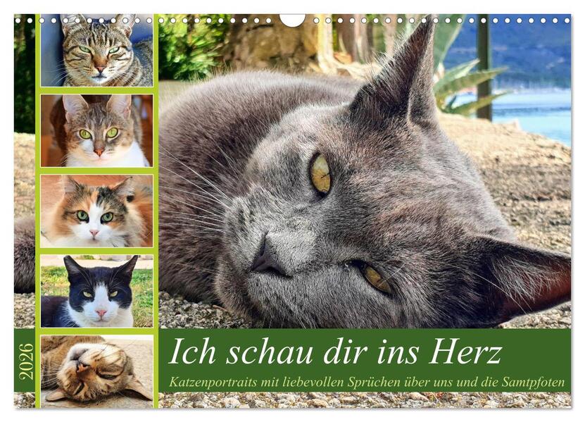 Ich schau dir ins Herz (Wandkalender 2026 DIN A3 quer) CALVENDO Monatskalender