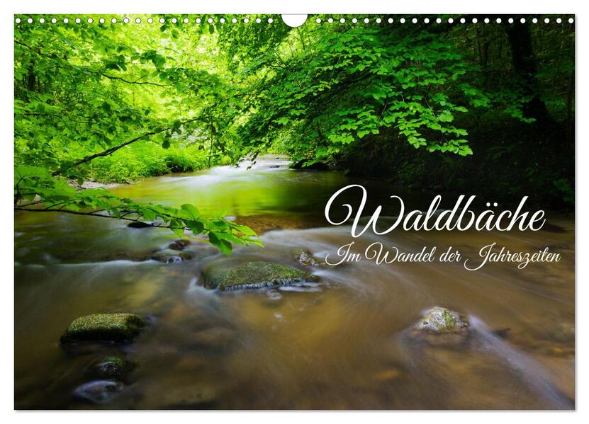 Waldbäche - Im Wandel der Jahreszeiten (Wandkalender 2026 DIN A3 quer) CALVENDO Monatskalender