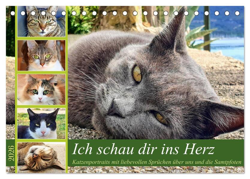 Ich schau dir ins Herz (Tischkalender 2026 DIN A5 quer) CALVENDO Monatskalender
