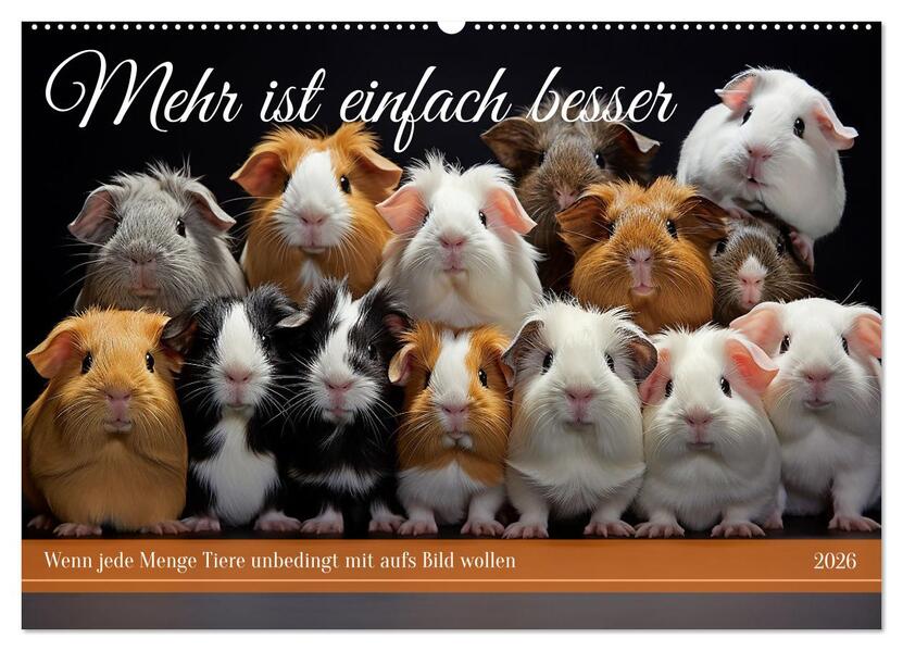Mehr ist einfach besser (Wandkalender 2026 DIN A2 quer) CALVENDO Monatskalender