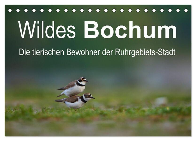 Wildes Bochum (Tischkalender 2026 DIN A5 quer) CALVENDO Monatskalender
