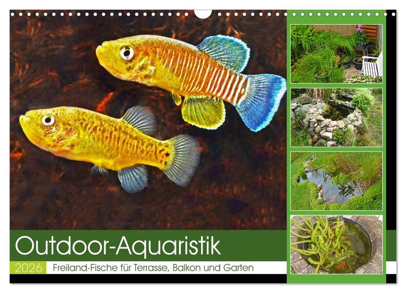 Outdoor-Aquaristik (Wandkalender 2026 DIN A3 quer) CALVENDO Monatskalender