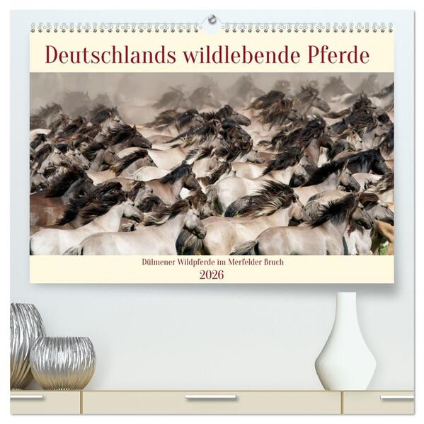 Deutschlands wildlebende Pferde (hochwertiger Premium Wandkalender 2026 DIN A2 quer) Kunstdruck in Hochglanz