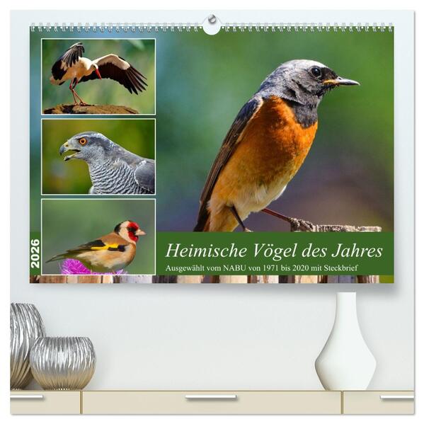 Heimische Vögel des Jahres (hochwertiger Premium Wandkalender 2026 DIN A2 quer) Kunstdruck in Hochglanz