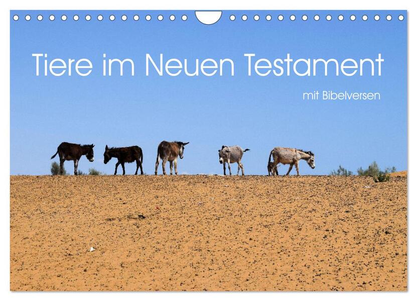 Tiere im Neuen Testament mit Bibelversen (Wandkalender 2026 DIN A4 quer) CALVENDO Monatskalender