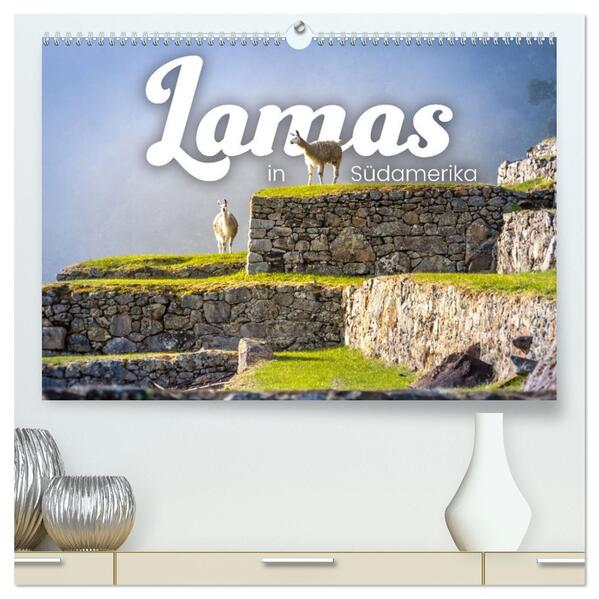 Lamas in Südamerika (hochwertiger Premium Wandkalender 2026 DIN A2 quer) Kunstdruck in Hochglanz