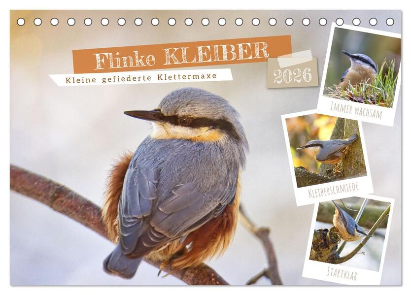 Flinke Kleiber (Tischkalender 2026 DIN A5 quer) CALVENDO Monatskalender