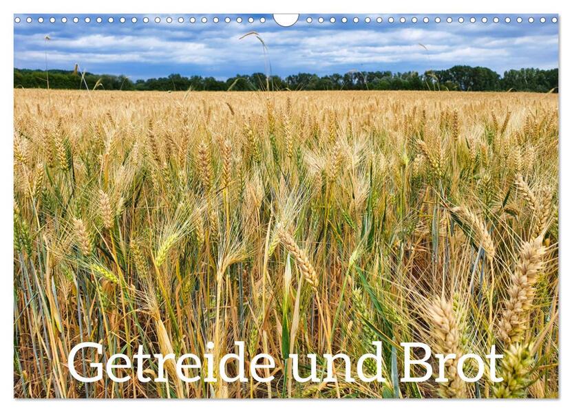 Getreide und Brot (Wandkalender 2026 DIN A3 quer) CALVENDO Monatskalender