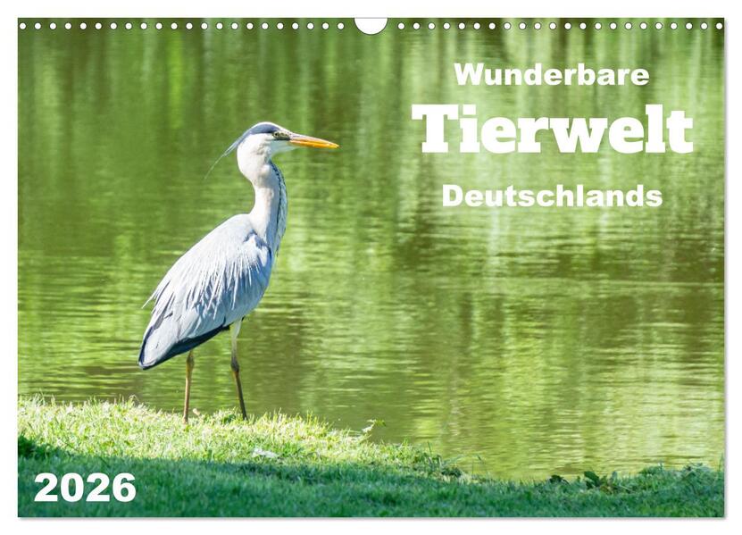 Wunderbare Tierwelt Deutschlands (Wandkalender 2026 DIN A3 quer) CALVENDO Monatskalender