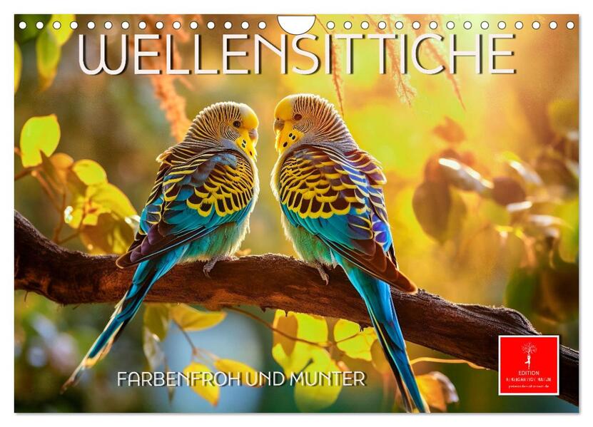 Wellensittiche farbenfroh und munter (Wandkalender 2026 DIN A4 quer) CALVENDO Monatskalender