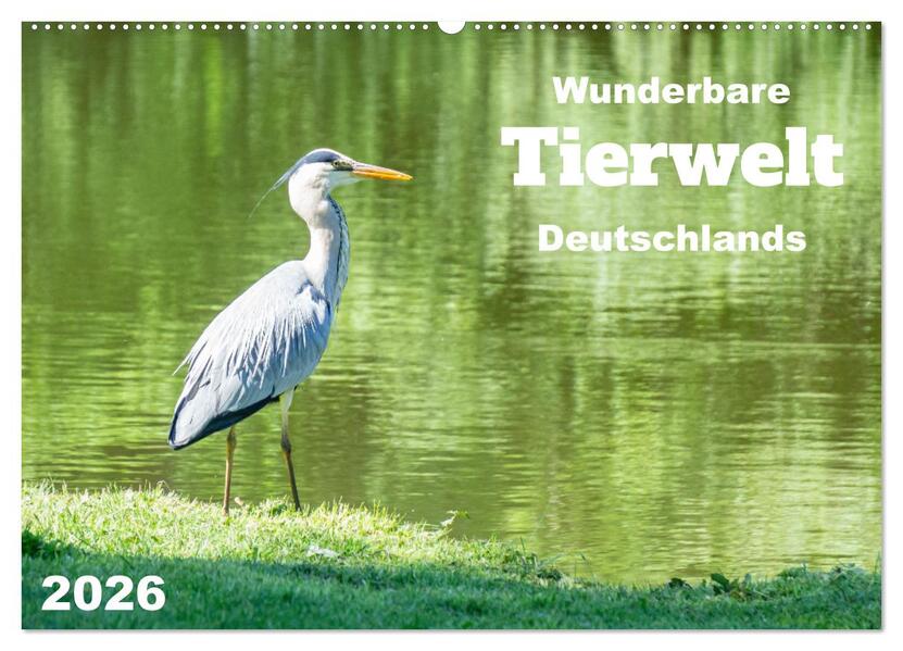 Wunderbare Tierwelt Deutschlands (Wandkalender 2026 DIN A2 quer) CALVENDO Monatskalender