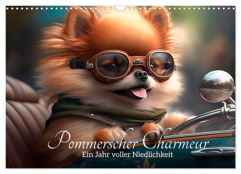 Pommerscher Charmeur Ein Jahr voller Niedlichkeit (Wandkalender 2026 DIN A3 quer) CALVENDO Monatskalender