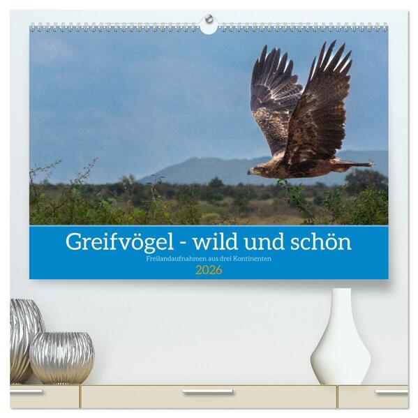 Greifvögel - wild und schön (hochwertiger Premium Wandkalender 2026 DIN A2 quer) Kunstdruck in Hochglanz