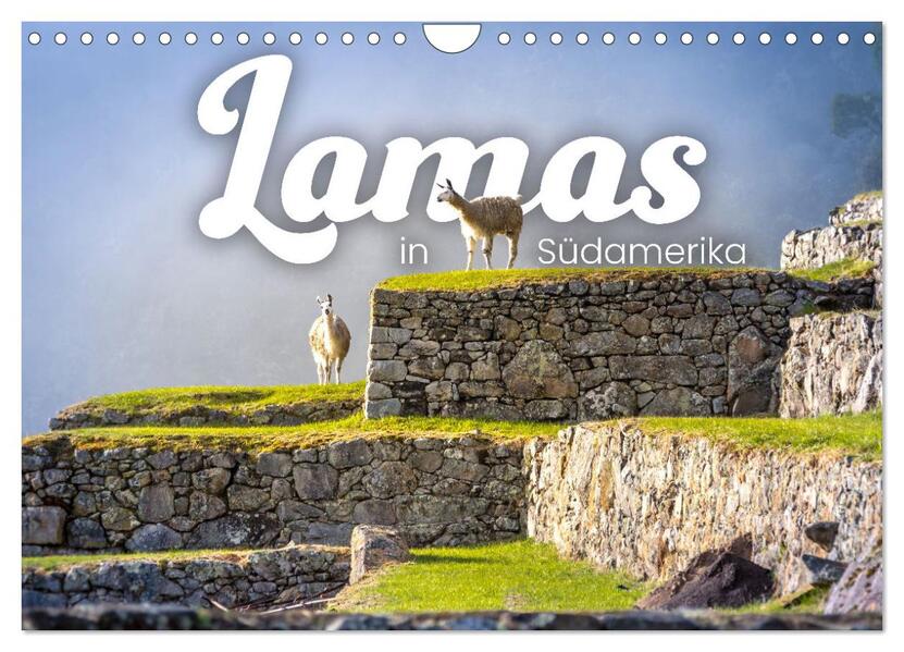 Lamas in Südamerika (Wandkalender 2026 DIN A4 quer) CALVENDO Monatskalender