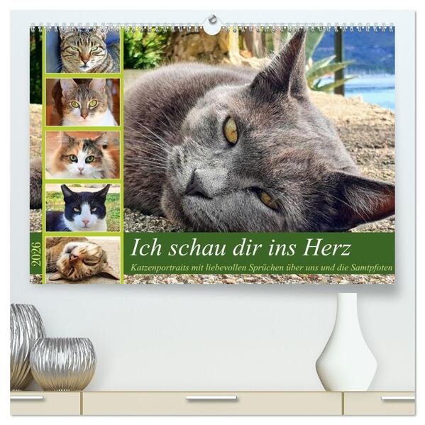 Ich schau dir ins Herz (hochwertiger Premium Wandkalender 2026 DIN A2 quer) Kunstdruck in Hochglanz