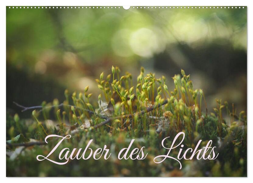 Zauber des Lichts (Wandkalender 2026 DIN A2 quer) CALVENDO Monatskalender