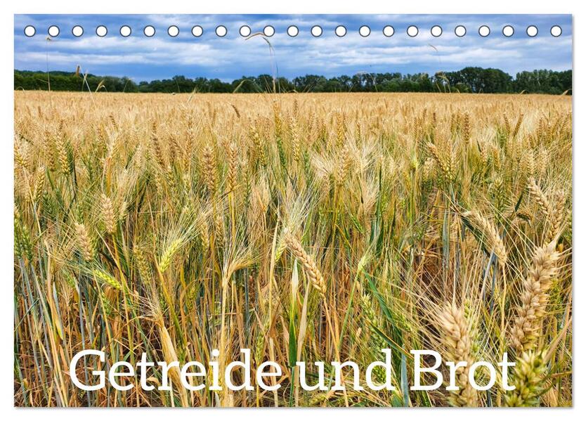 Getreide und Brot (Tischkalender 2026 DIN A5 quer) CALVENDO Monatskalender