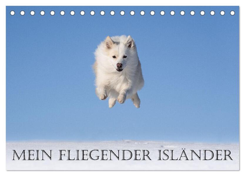 Mein fliegender Isländer (Tischkalender 2026 DIN A5 quer) CALVENDO Monatskalender
