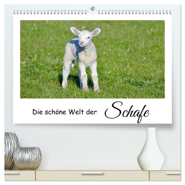 Die schöne Welt der Schafe (hochwertiger Premium Wandkalender 2026 DIN A2 quer) Kunstdruck in Hochglanz