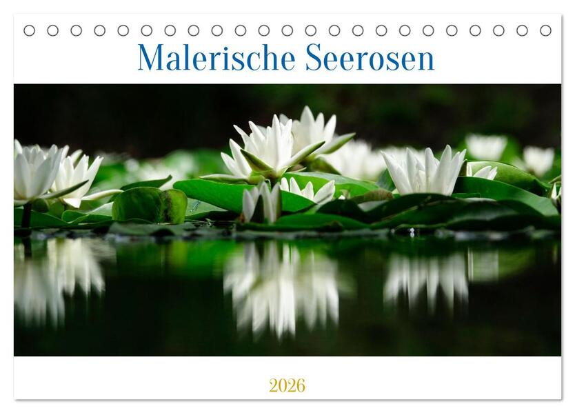 Malerische Seerosen (Tischkalender 2026 DIN A5 quer) CALVENDO Monatskalender