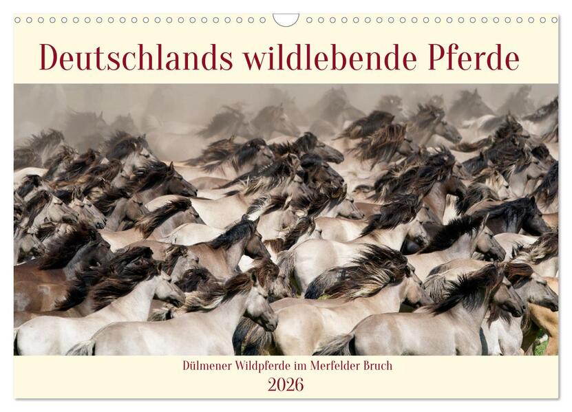 Deutschlands wildlebende Pferde (Wandkalender 2026 DIN A3 quer) CALVENDO Monatskalender