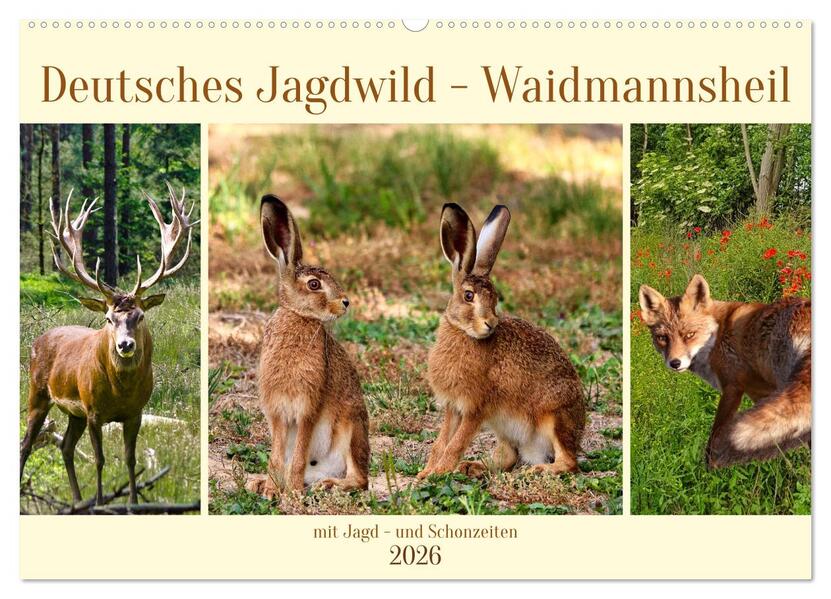 Deutsches Jagdwild - Waidmannsheil (Wandkalender 2026 DIN A2 quer) CALVENDO Monatskalender