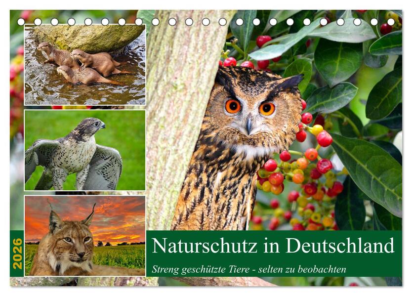 Naturschutz in Deutschland (Tischkalender 2026 DIN A5 quer) CALVENDO Monatskalender