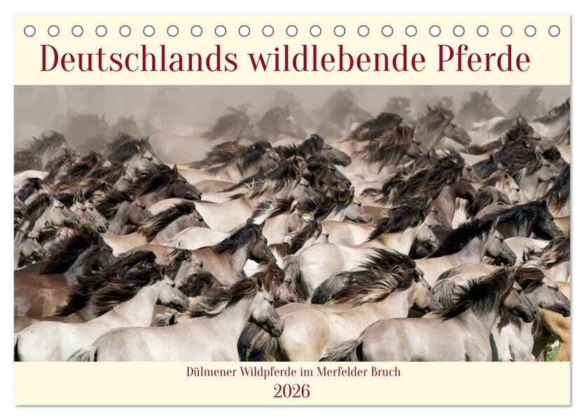 Deutschlands wildlebende Pferde (Tischkalender 2026 DIN A5 quer) CALVENDO Monatskalender