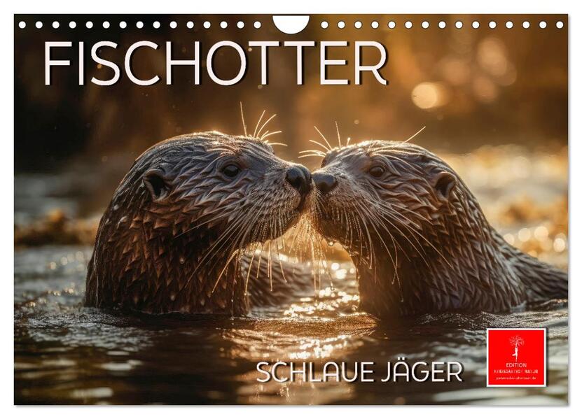 Fischotter - schlaue Jäger (Wandkalender 2026 DIN A4 quer) CALVENDO Monatskalender