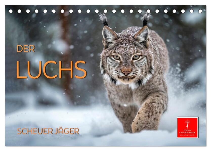 Der Luchs - scheuer Jäger (Tischkalender 2026 DIN A5 quer) CALVENDO Monatskalender