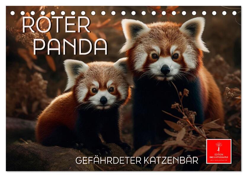 Roter Panda - gefährdeter Katzenbär (Tischkalender 2026 DIN A5 quer) CALVENDO Monatskalender